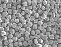 GMP-MG.jpg GMP-MG.jpg