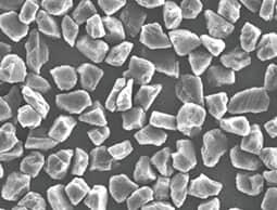 GMP-LP.jpg GMP-LP.jpg